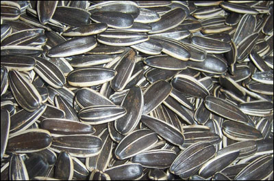 sjemenke suncokreta su dobre za hipertenziju